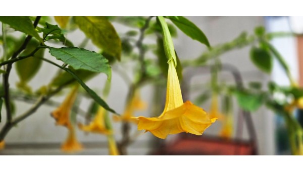 20251030000913_5f2cadc2c4d36f14c80395d1ee4fcda0_0f48 (1).jpg