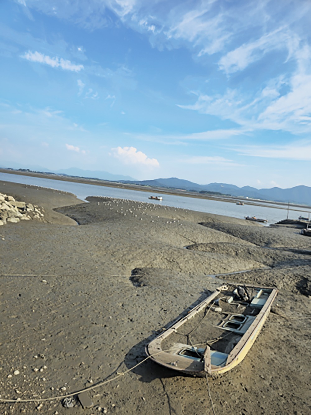 은퇴-장금이2 복사.jpg