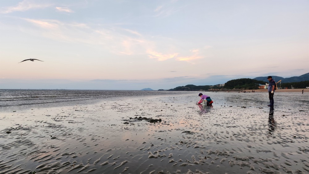 공존의문법 복사.jpg