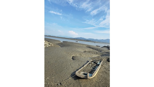 은퇴-장금이2 복사.jpg