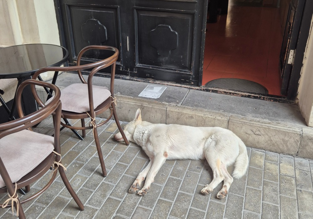 20240822_152155 (1).jpg