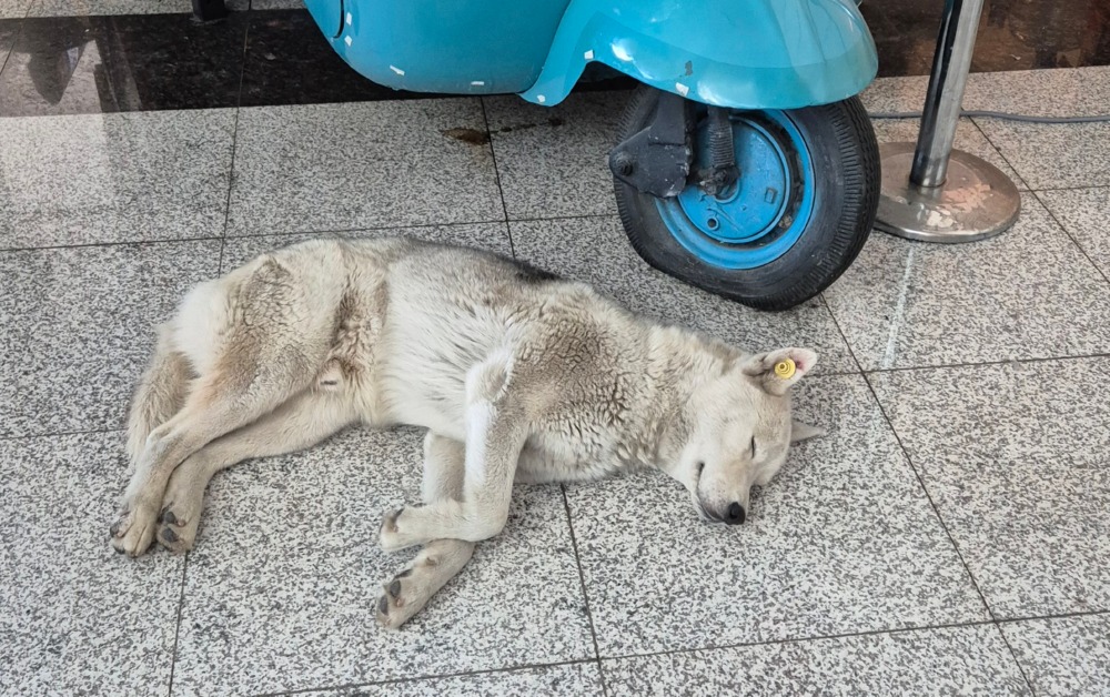 20240823_143654 (1).jpg