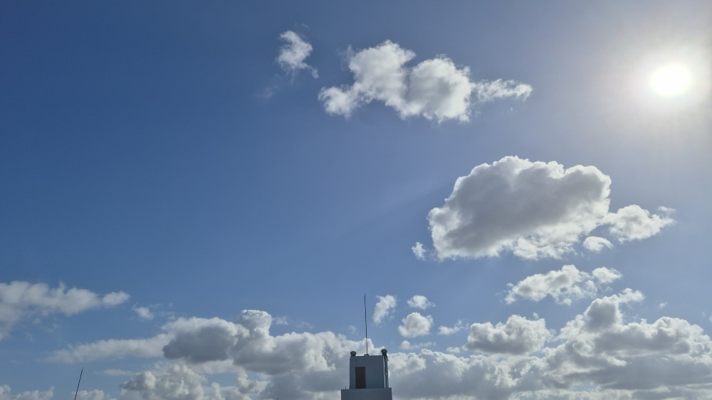 20251009_144916.jpg